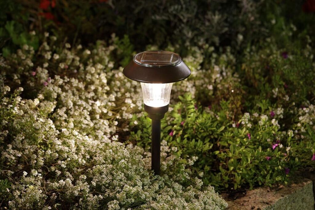 庭の低い木をライトアップしている画像