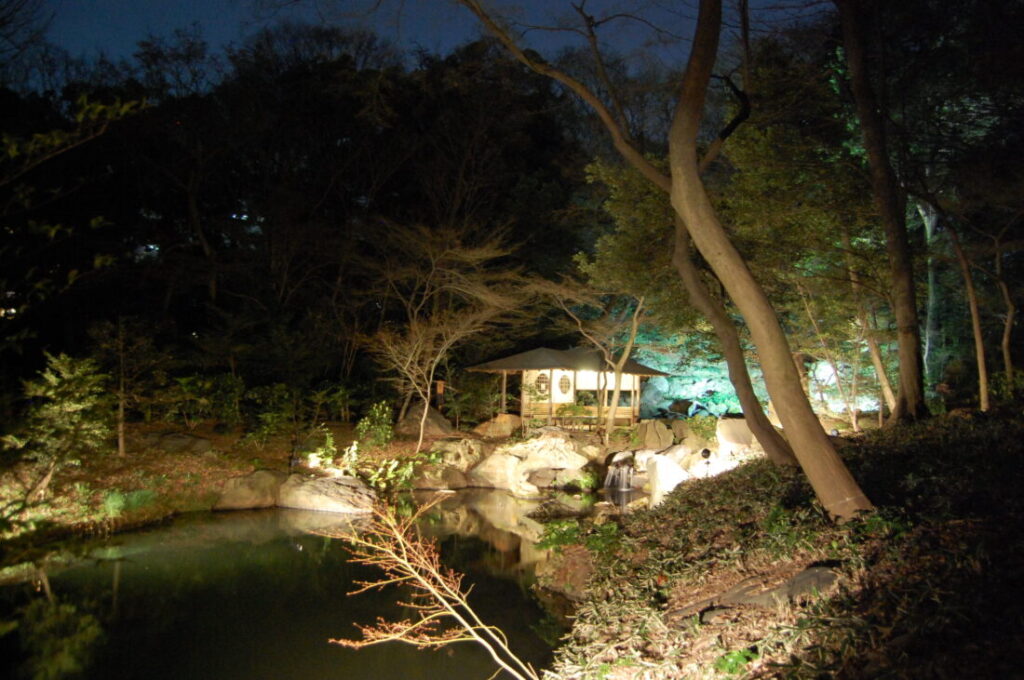 日本庭園をライトアップしている画像