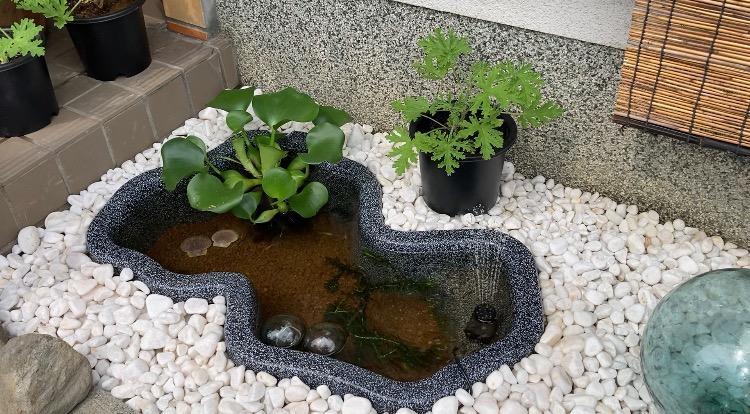 自宅にプラスチックの池を設置する