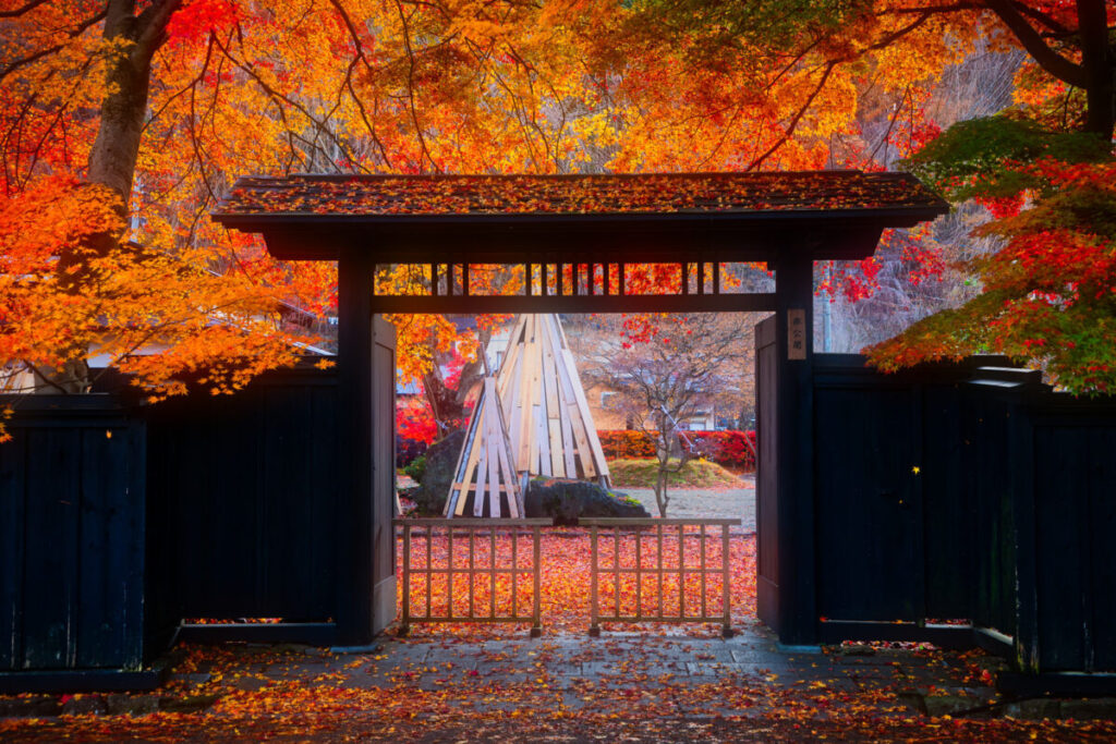 和風の門にもみじの落ち葉がある画像