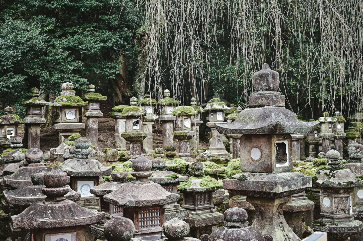 春日灯篭など多数の灯籠が並んでいる画像