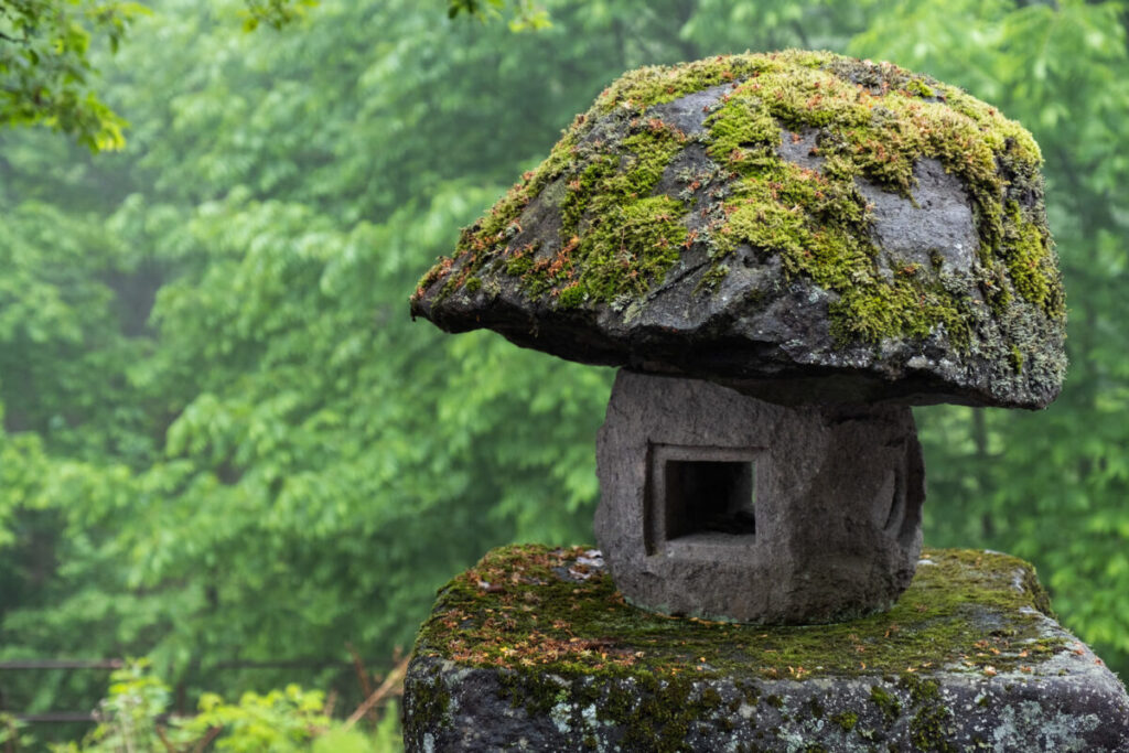 苔が付いた石灯篭