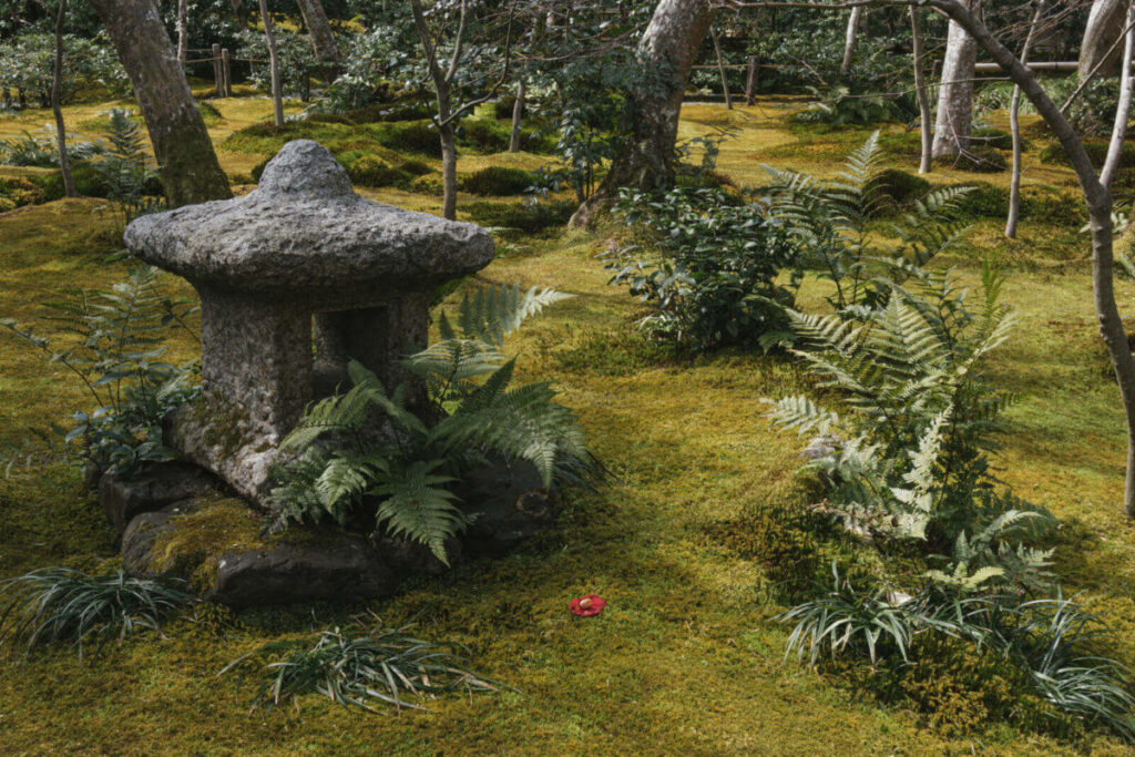 苔と灯篭がある日本庭園