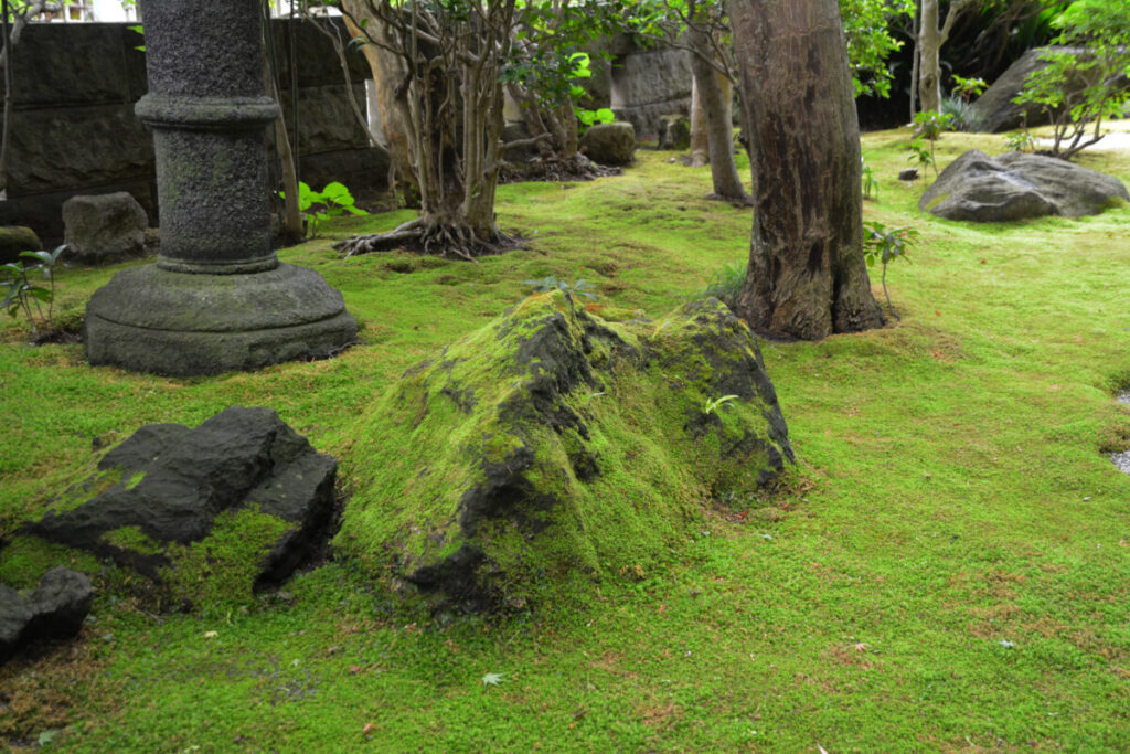 苔に覆われた日本庭園の写真