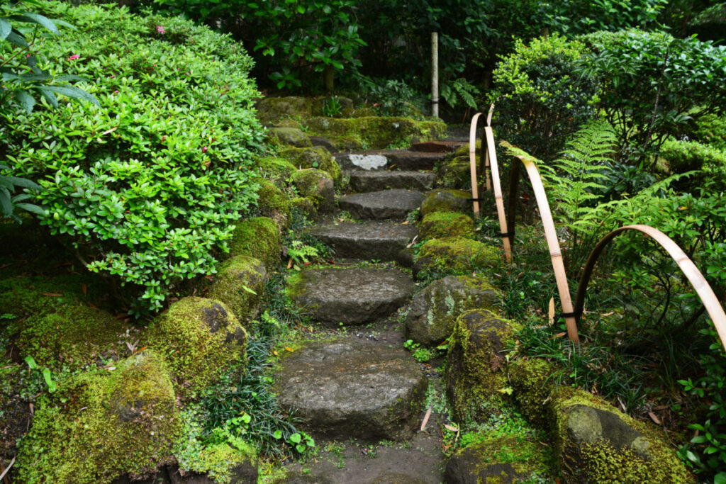苔と飛び石が置いている日本庭園の画像