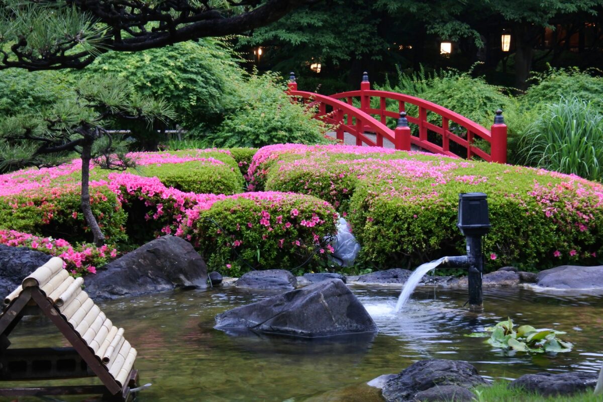 日本庭園の石とろ過装置が動いている池の写真