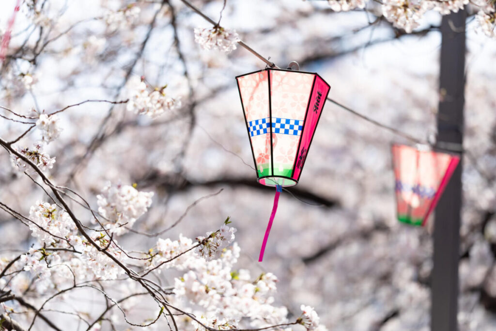 桜の木に合うおしゃれな灯籠