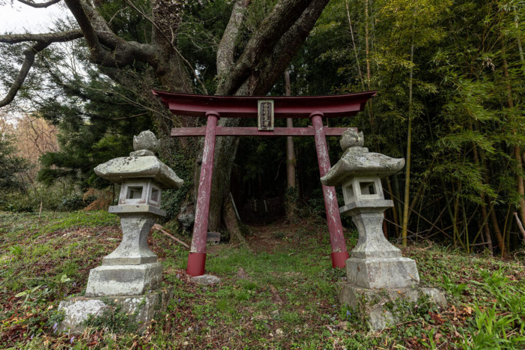 林の前に古ぼけた鳥居があり、その前に2つ並んだ春日灯篭の写真