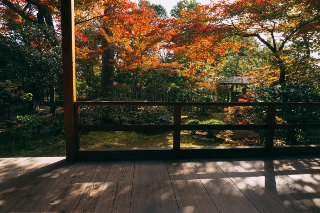 赤く染まる庭木の生えた露地庭園の写真