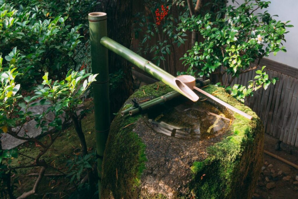 日本庭園にある竹のある手水鉢の写真