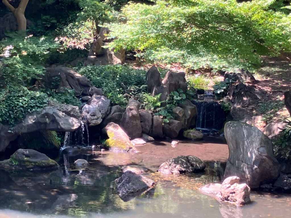 六義園の滝の写真