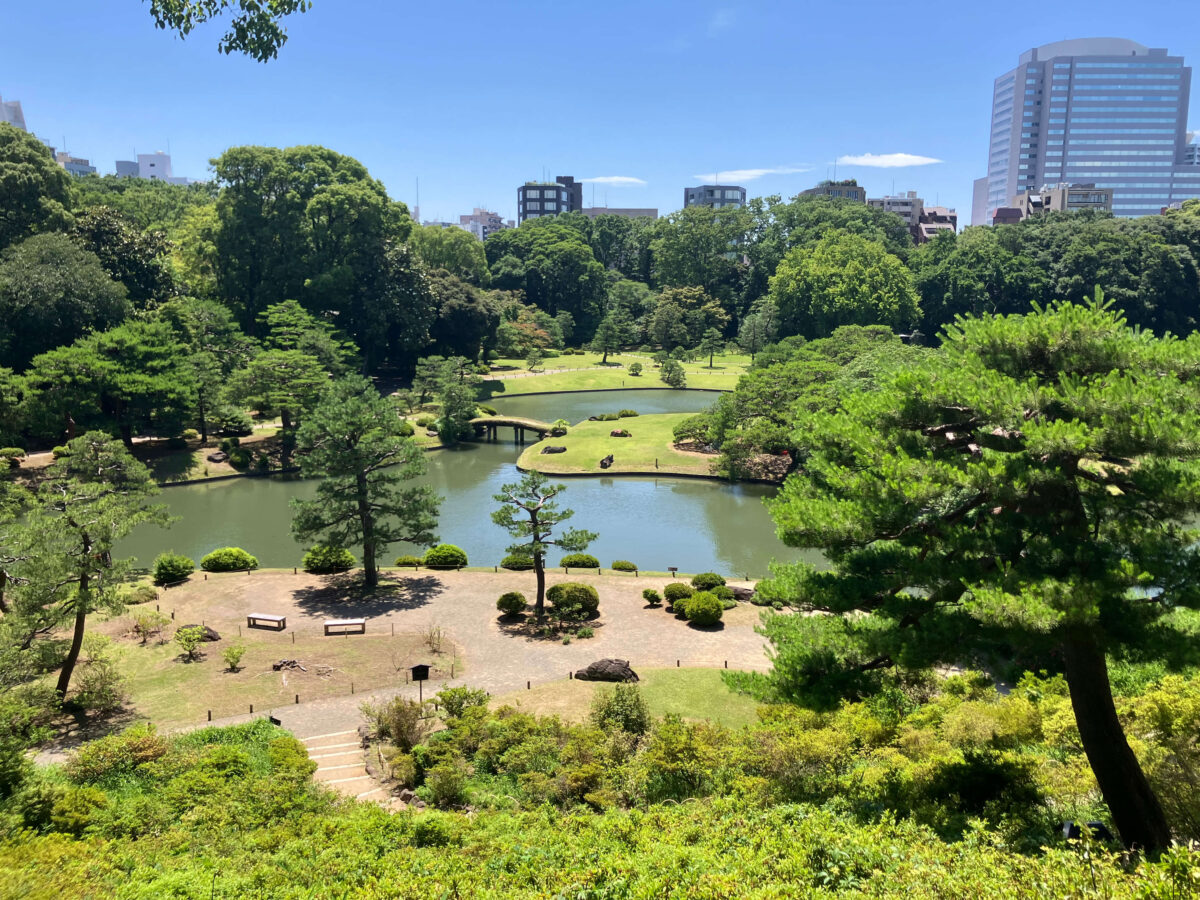 六義園内の藤代峠から写真