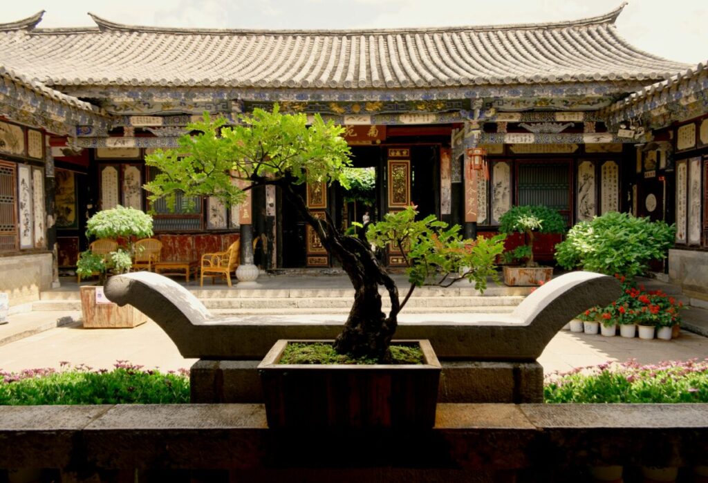 中国での盆栽画像