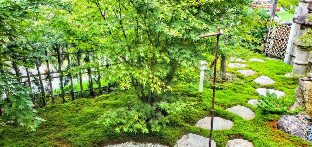 紅葉と飛び石がある苔庭の画像