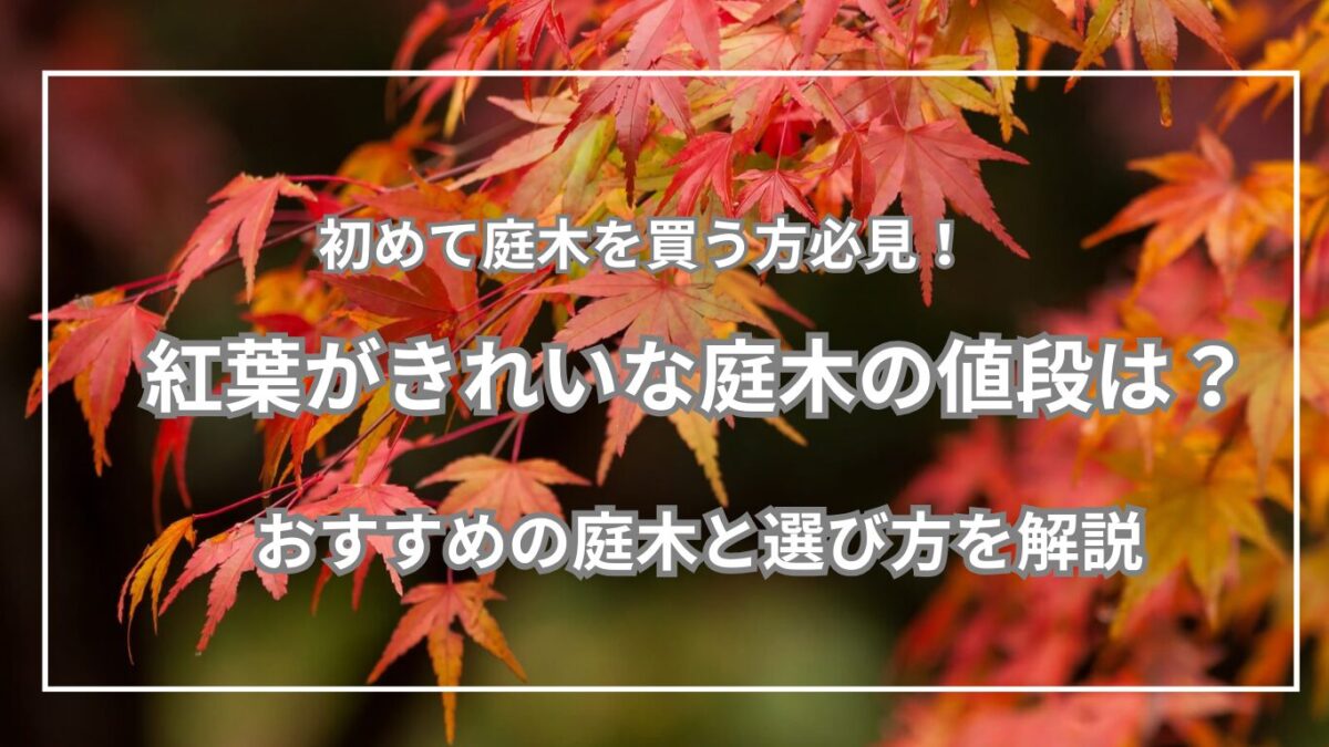背景がイロハモミジの写真に記事タイトルが書かれた画像