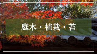 庭木・植栽・苔