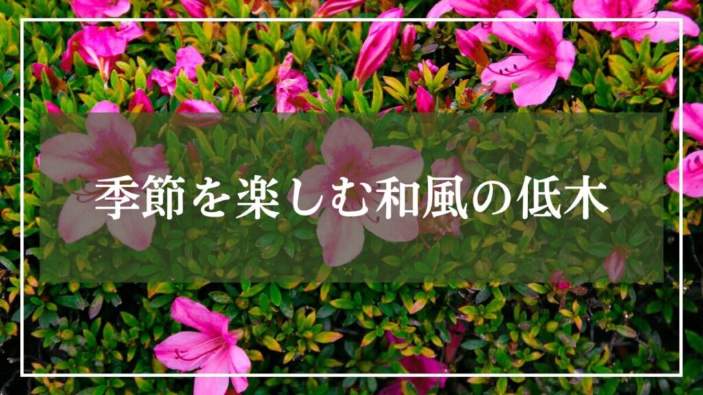 サツキの背景画像に「季節を楽しむ和風の低木」と見出し入りの画像
