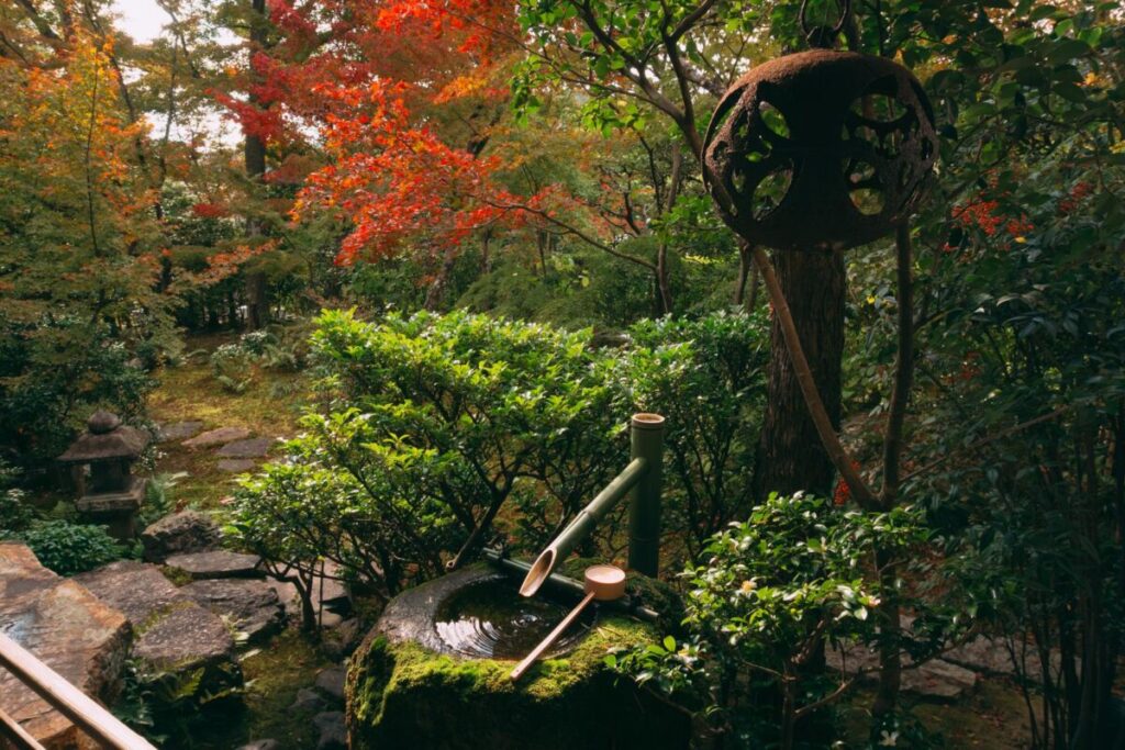 紅葉した日本庭園の写真