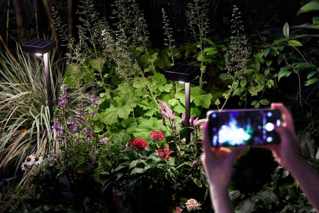 花壇をガーデンライトで照らしている画像