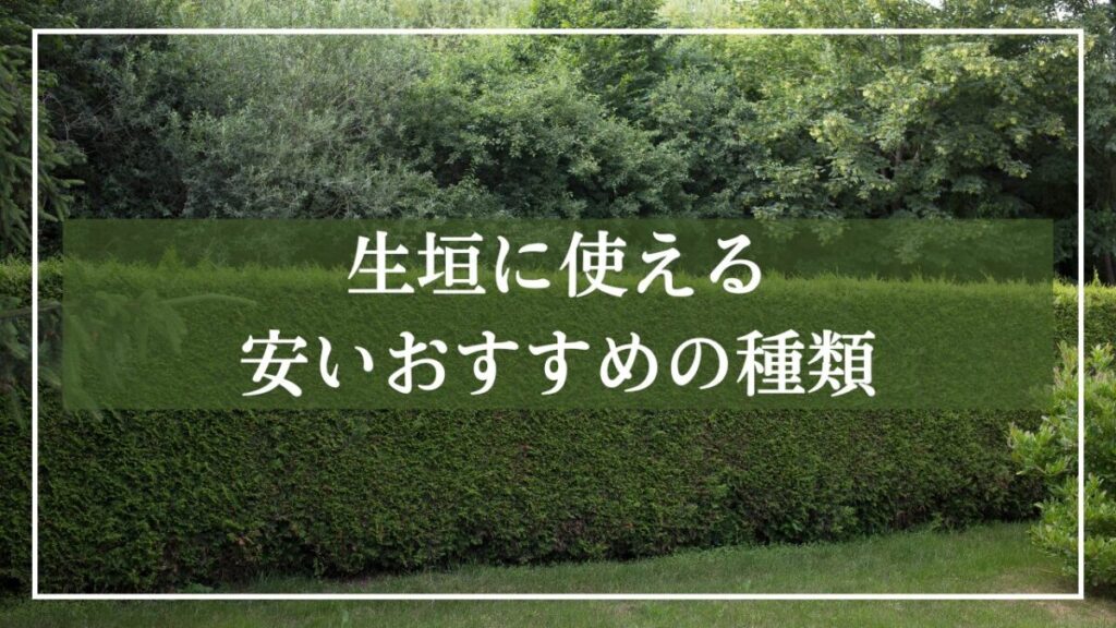 背景が生垣で「生垣に使えるおすすめ種類」と見出し入りの写真