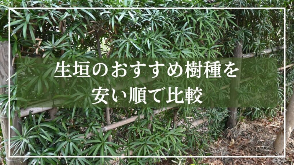 背景が和風の生垣で「生垣におすすめ樹種を安い順で比較」と見出し入りの写真