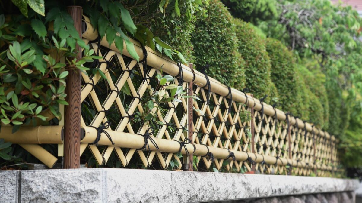 竹垣の中に目隠し用の常緑樹を植えている外構写真