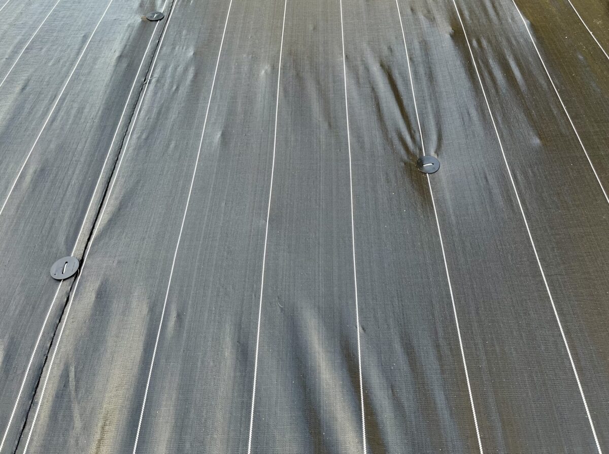 防草シートにピンがさしてある画像