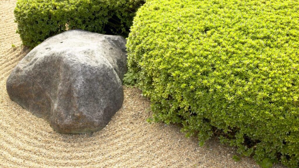 庭石と低木がある枯山水の写真