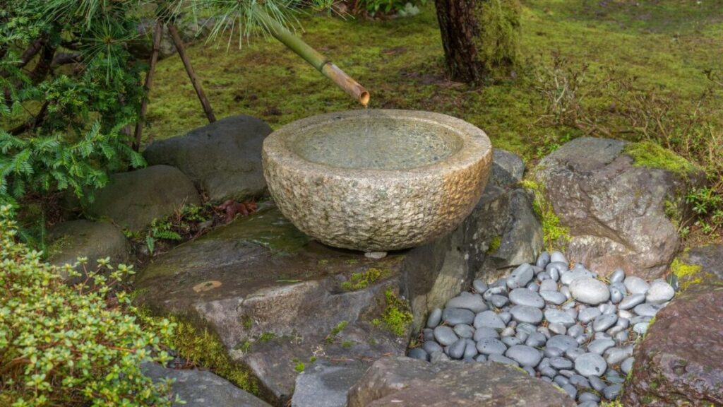 水鉢、筧の趣ある和風庭の画像