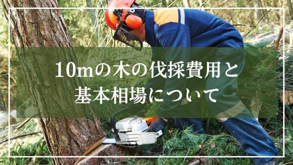 大きな木をチェンソーで切っている写真をつかって「10mの木の伐採費用」とタイトル入りの見出し画像