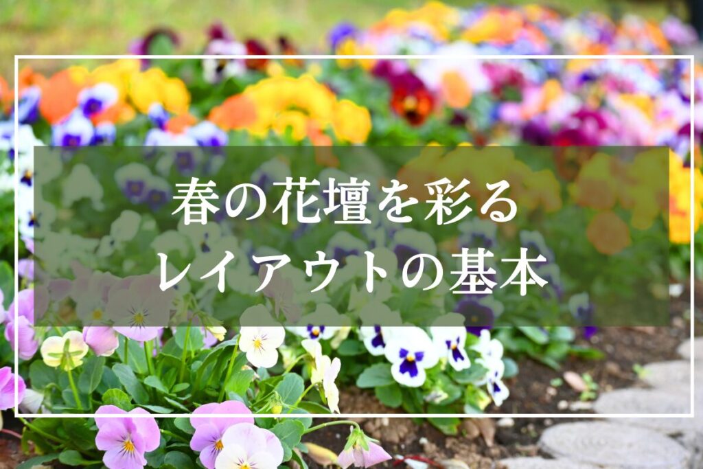 パンジーが咲いた花壇の写真に「春の花壇を彩るレイアウトの基本」と見出し入りの写真