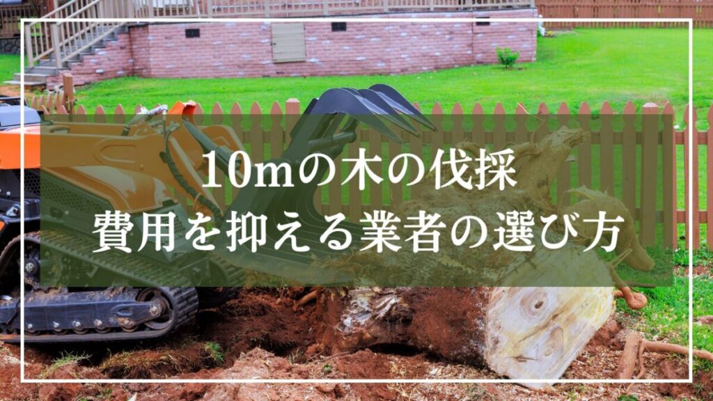 重機で大きな根を伐根している画像に「10mの木の伐採費用を抑える業者の選び方