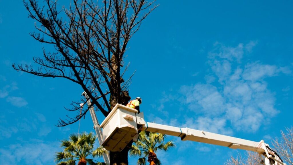 高所作業車の写真