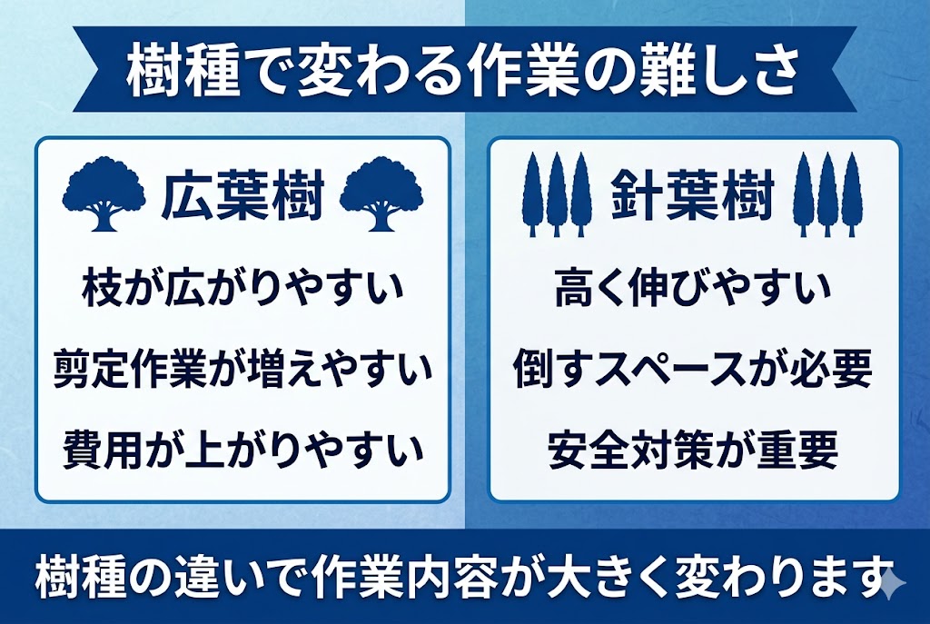 広葉樹(枝が広がりやすい)と針葉樹(高く伸びやすい)による伐採作業の難易度と費用の違いの比較図
