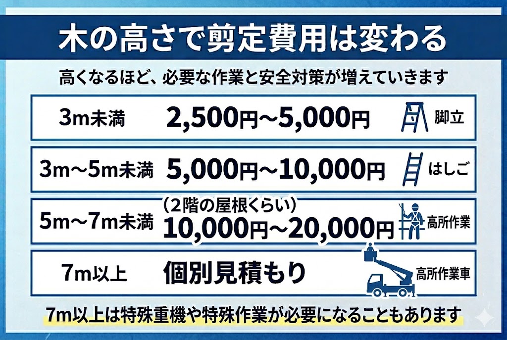 木の高さごとの剪定費用相場をまとめた図解。3m未満、3m〜5m、5m〜7m、7m以上で料金が段階的に上がる仕組みを分かりやすく整理している。