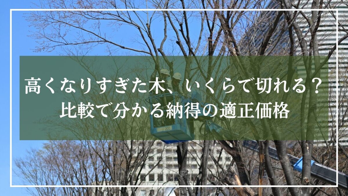 高所作業車で木の枝の剪定をしている写真に「高くなりすぎた木いくらで切れる？比較でわかる納得の適正価格」と見出し入りの写真