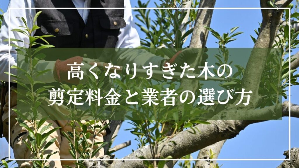 庭師が高い木に登って木の剪定をしている写真に「高くなりすぎた木の剪定料金と業者の選び方」と見出し入りの写真