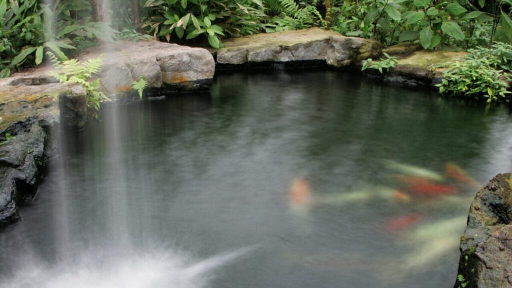 滝から水が落ちる石組みされた和モダンなコンクリート池の写真