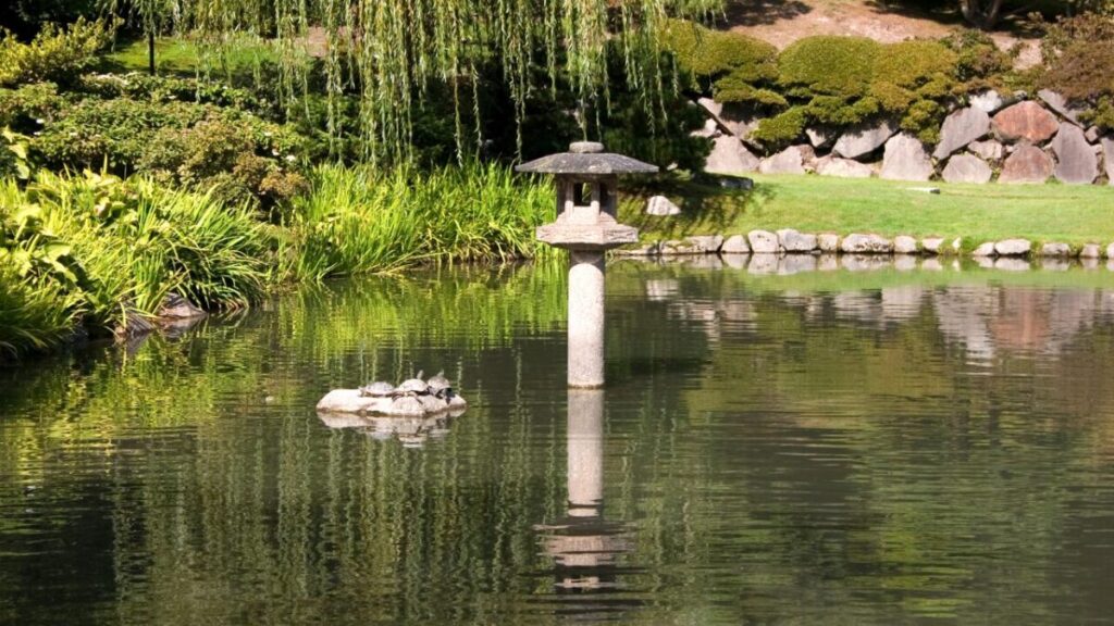 池の中に灯籠がある日本庭園の池の画像