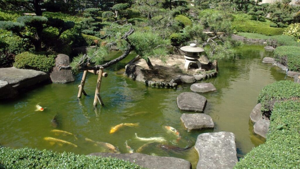 灯籠、飛び石、松の木が中島で設置された広めの日本庭園の池の写真