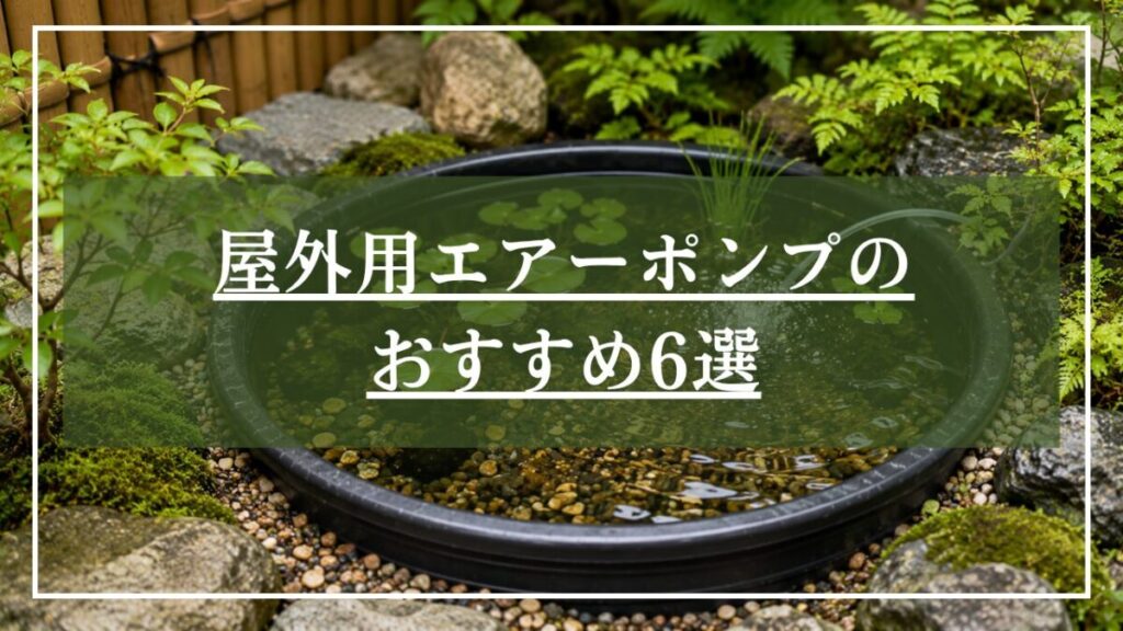 丸いプラ池にエアーポンプを使用している画像に「屋外用エアーポンプのおすすめ6選」と見出し入りの画像