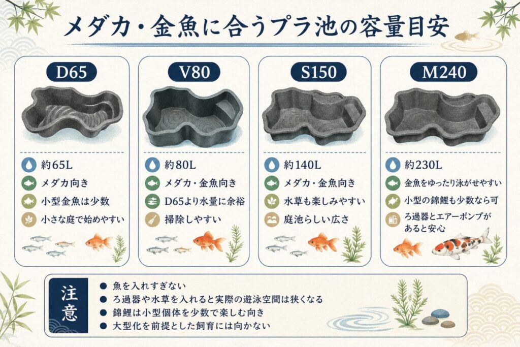 プラ池のレイアウトと飼育計画を考える方向けに、D65・V80・S150・M240の容量とメダカ、金魚、小型錦鯉の目安をまとめた図解