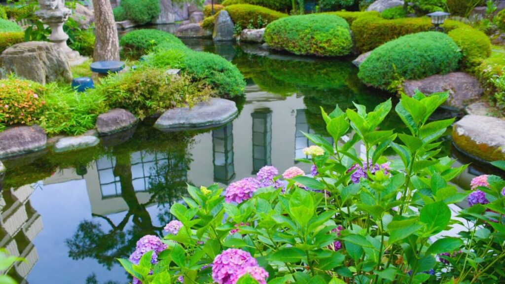 低木と灯籠、庭石で飾られたおしゃれな和風庭池の写真