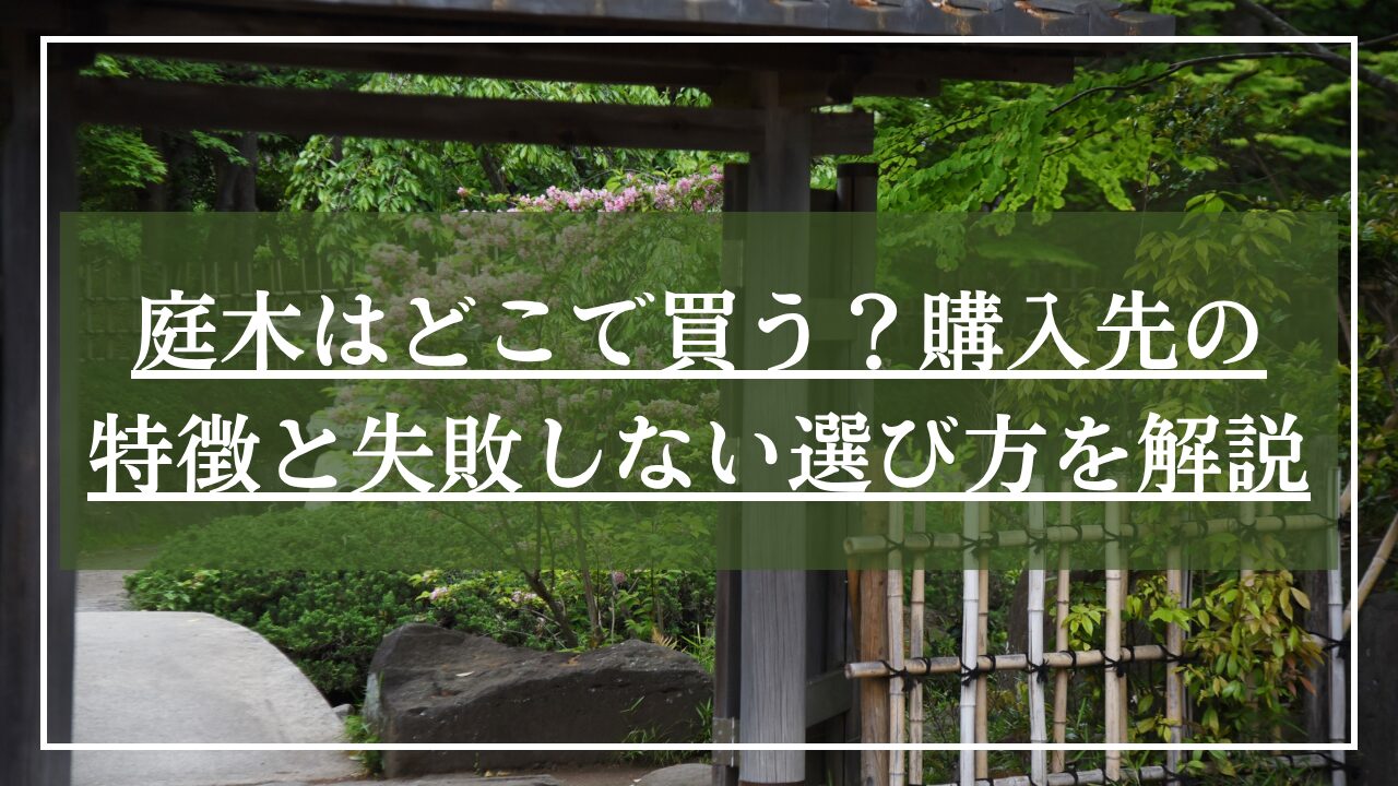 庭石、植栽で飾られた和風の玄関アプローチ写真に「庭木はどこで買う？購入先の特徴と失敗しない選び方」と記事タイトルが書かれた写真」