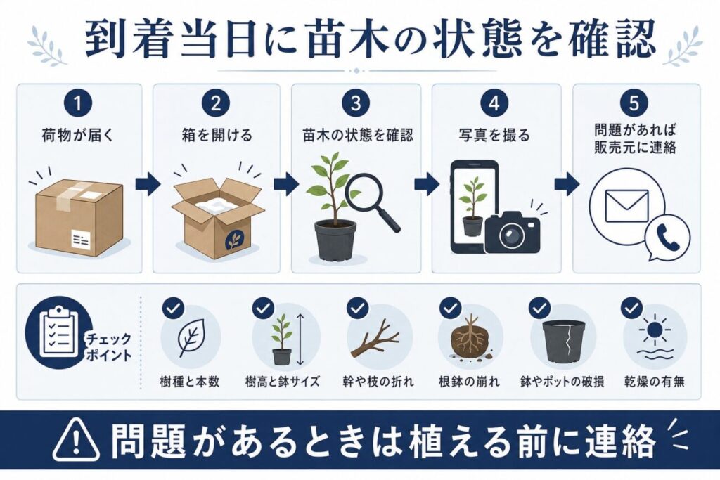 通販で庭木が届いた当日に確認する手順を示した図解。開梱後に樹種と本数、樹高と鉢サイズ、幹や枝の折れ、根鉢の崩れ、鉢の破損や乾燥を確認し、問題があれば植え付け前に販売店へ連絡する流れを紹介。