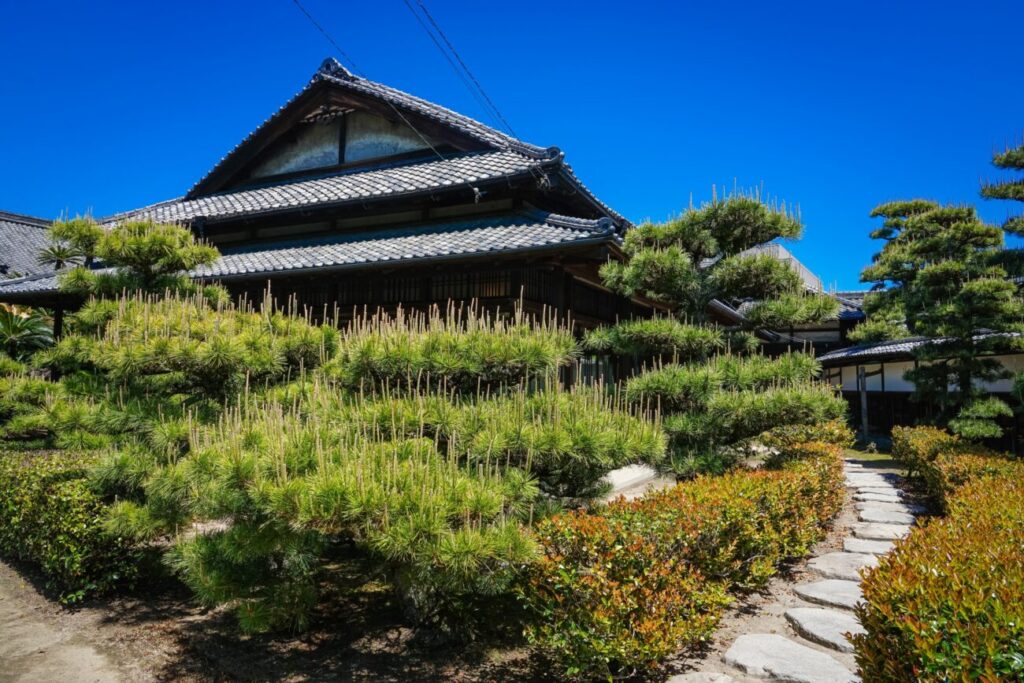 日本家屋とゴヨウマツの写真