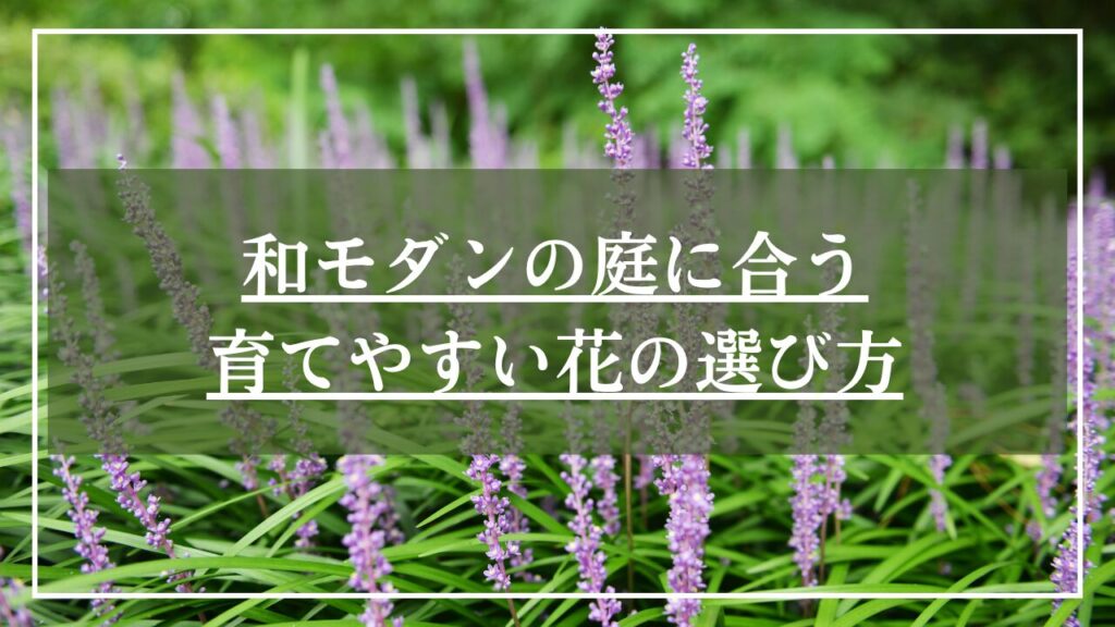 ヤブランの写真の「和モダンの庭に合う育てやすい花の選び方」と見出しを載せた画像