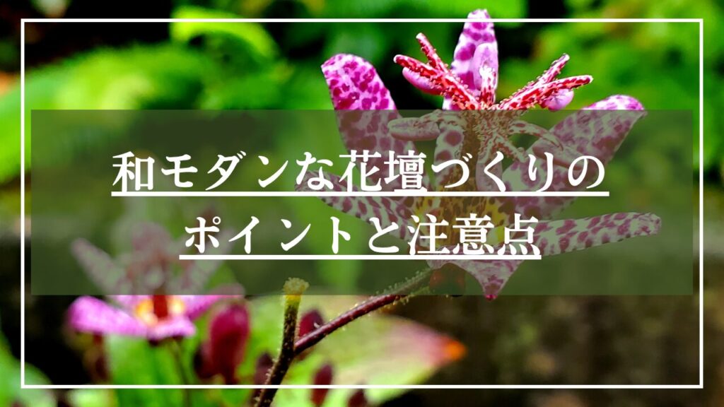 帆と鳶巣の花の写真に「和モダンの花壇づくりのポイントと注意点」と見出し入りの画像