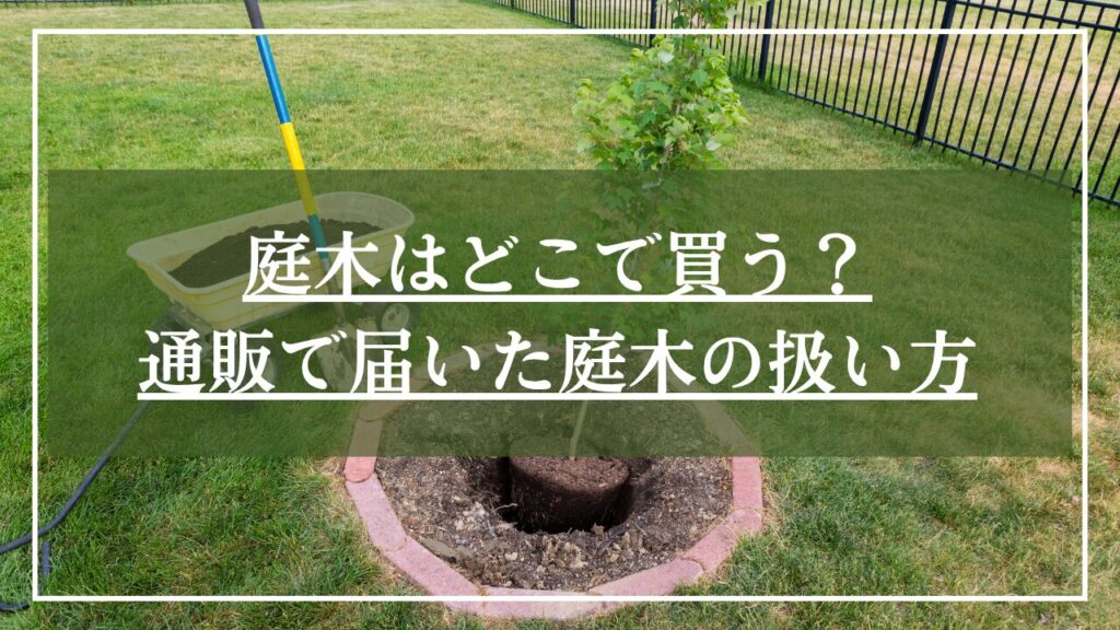 お庭に庭木を植えている写真に「庭木はどこで買う?通販で届いた庭木の扱い方」と見出し入りの写真
