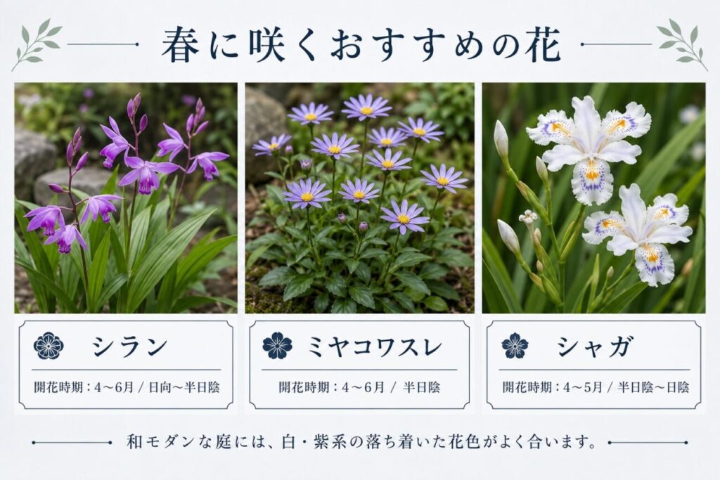 和モダンな庭に合う春の花として、シラン・ミヤコワスレ・シャガの開花時期と日照条件を横並びで紹介した図解